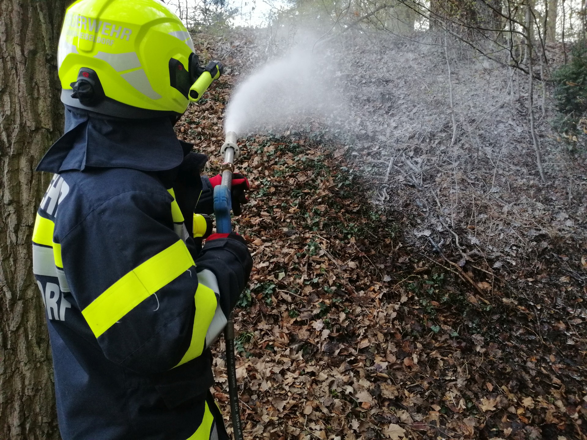 Entstehungsbrand in Waldgebiet