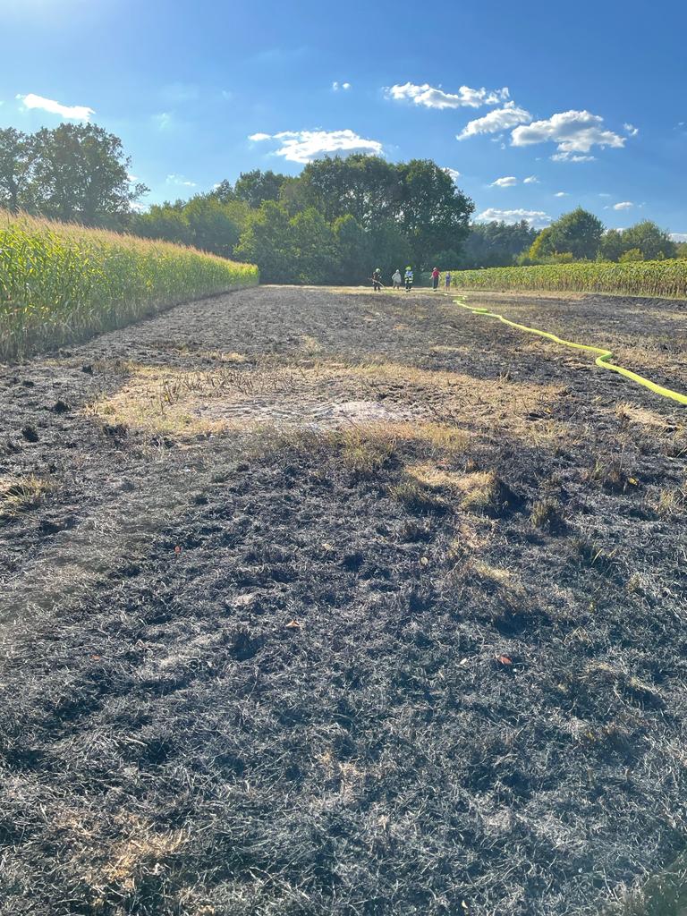 Wiesenbrand in Geiseldorf